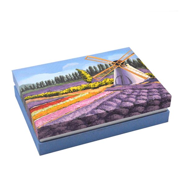 1339 Paper gift box for soap